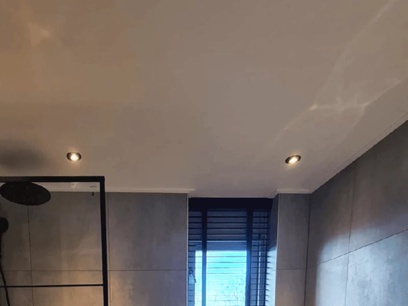 Het beste badkamer plafond voor jouw